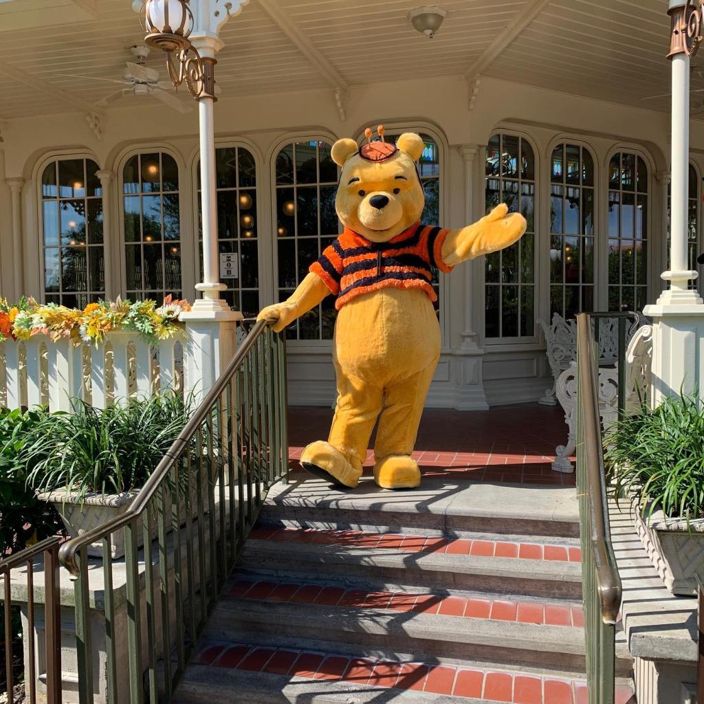 MFG-Winnie-The-Pooh