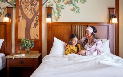 Save Up to 15% on Select Stays at Select Disneyland Resort Hotels