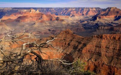 2026 National Geographic Expeditions Signature Land Last Chance Offer