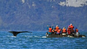 National Geographic Voyages